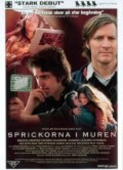 Sprickorna i muren - лучший фильм в фильмографии Хенрик Лундстрем