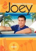 Джоуи (сериал 2004 - 2006) - отзыв пользователя Ирэн Кравт. Отзыв - Джоуи (сериал 2004 - 2006)