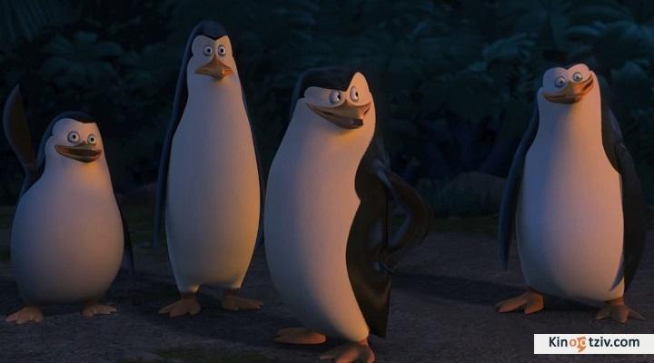 Фото мультфильма Пингвины Мадагаскара 2014.