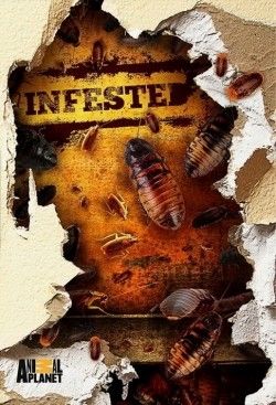 Вторжение паразитов (сериал 2011 - ...)